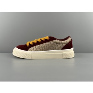 Dior B33