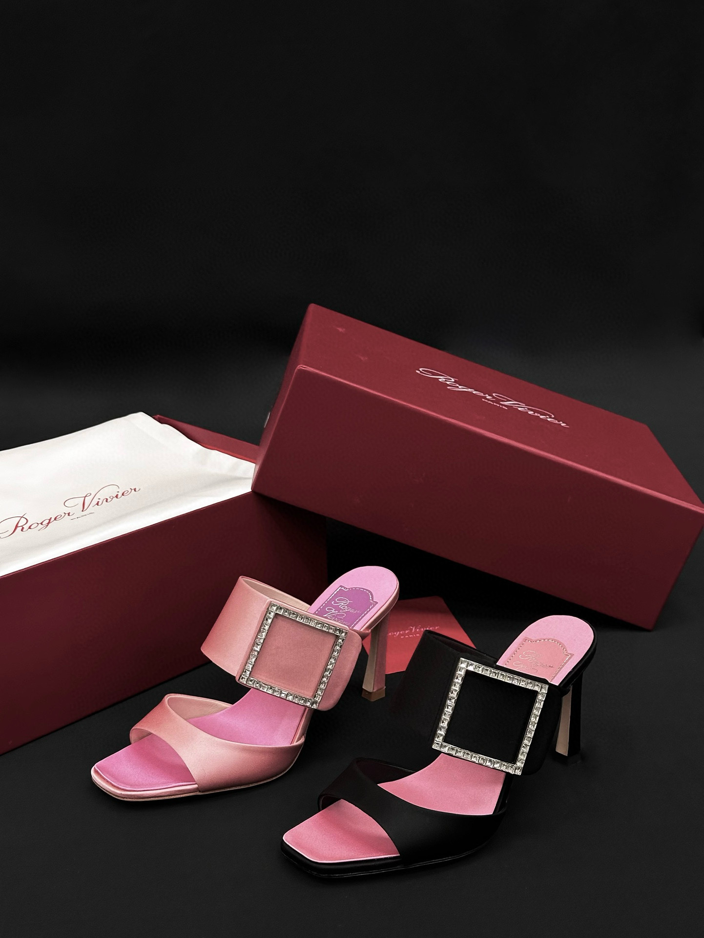 Roger Vivier Shoes (5cm)