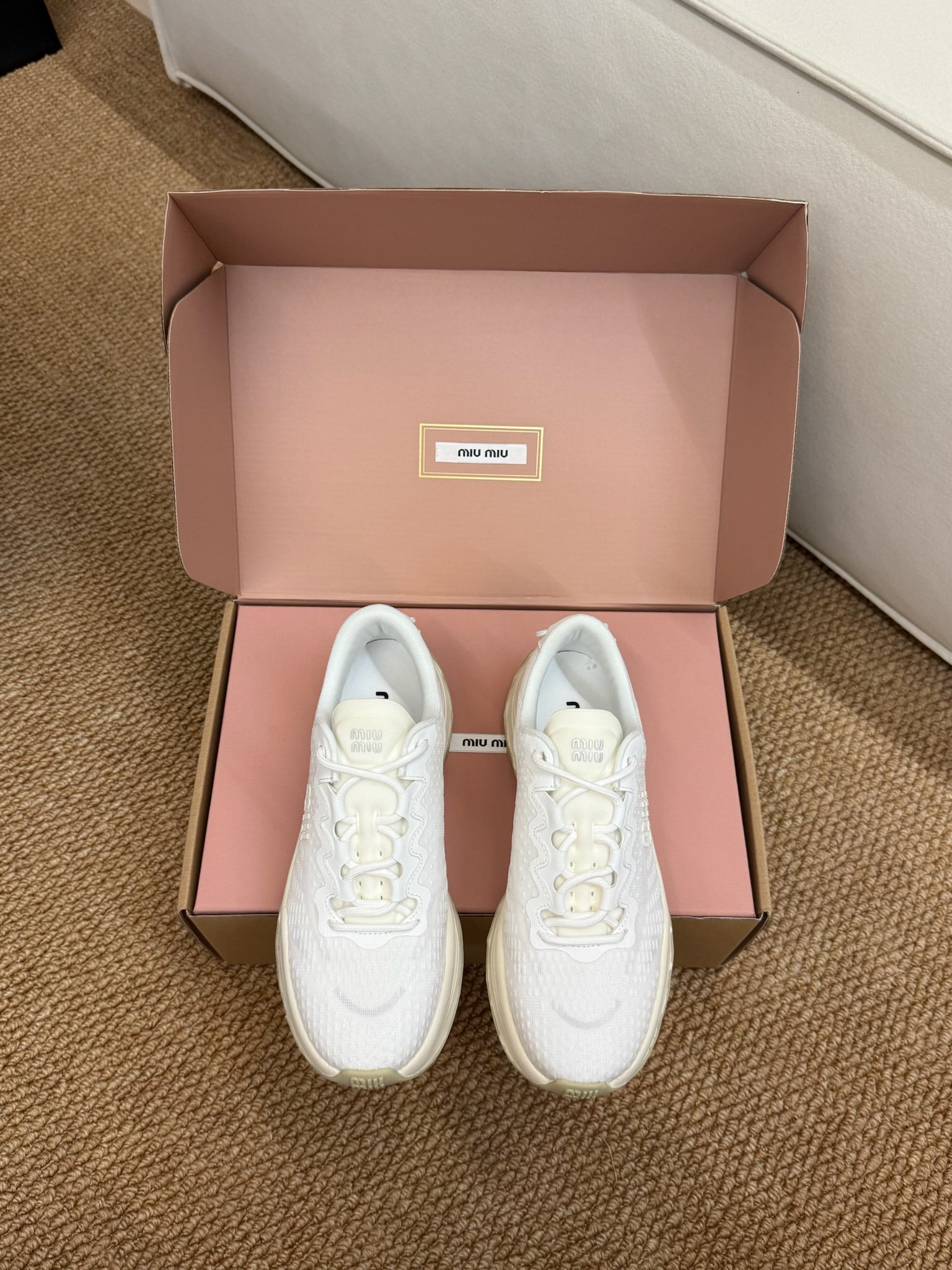 Miumiu Shoes