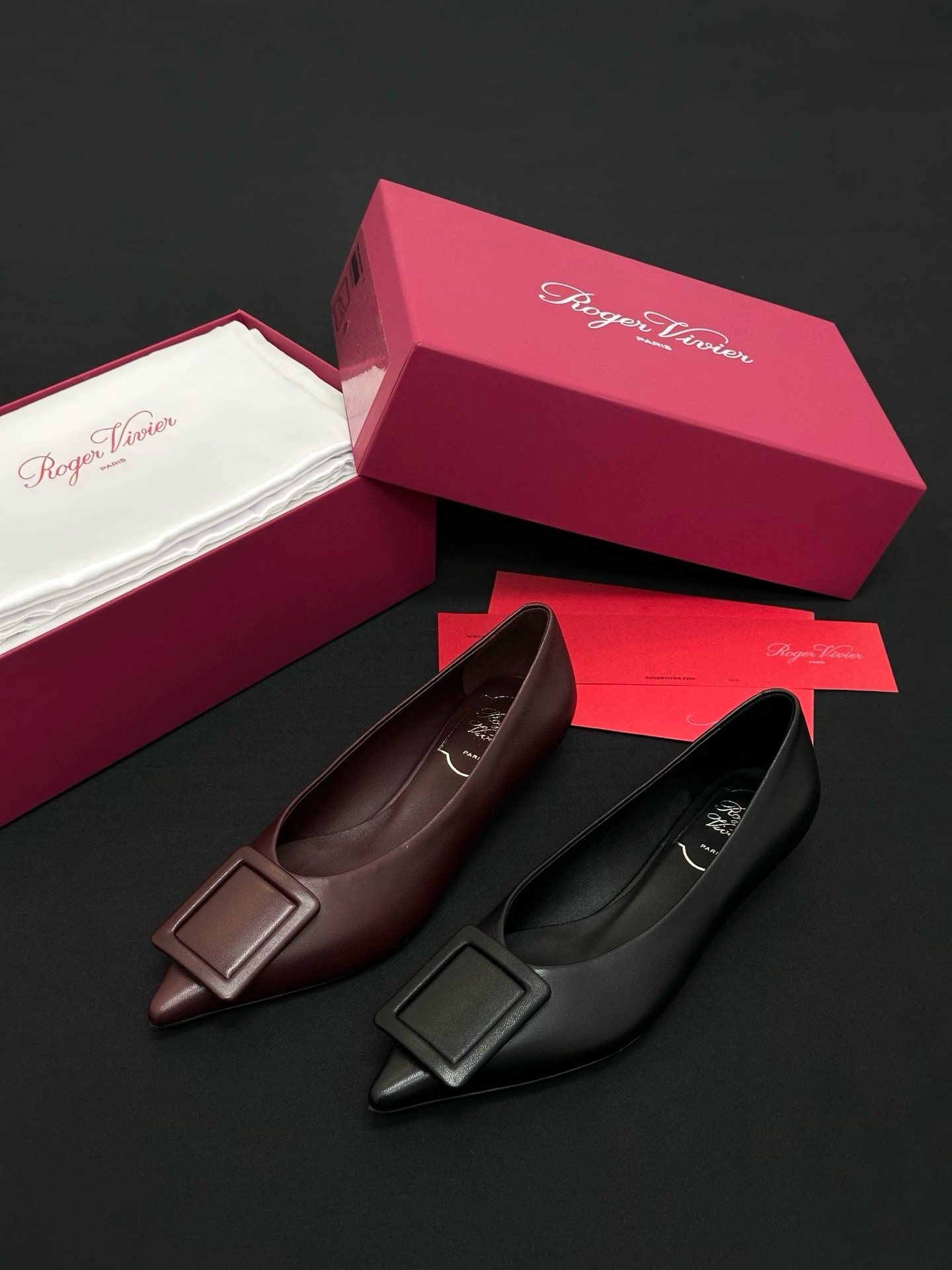 Roger Vivier Shoes