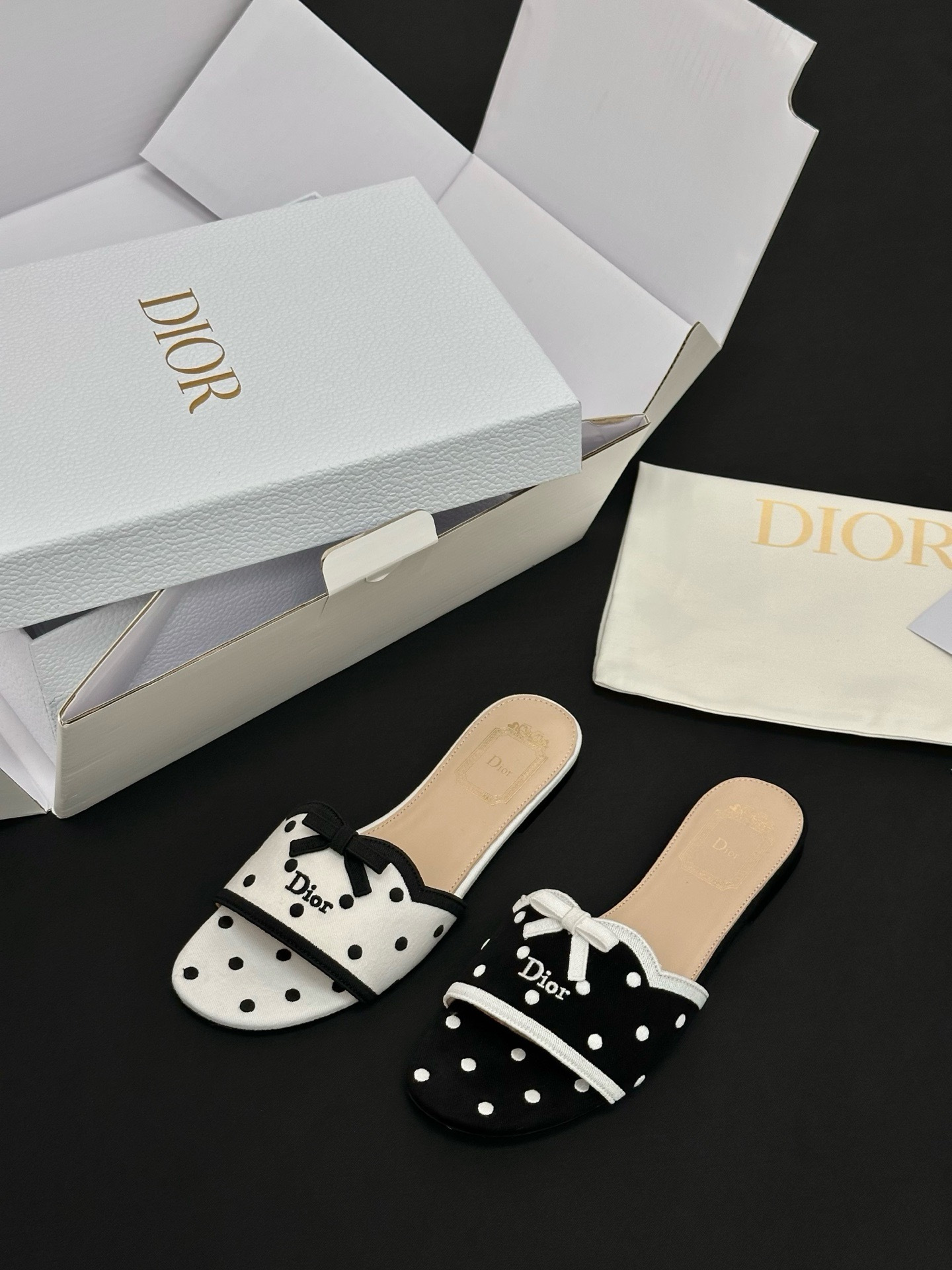 Dior Shoes (Flat)
