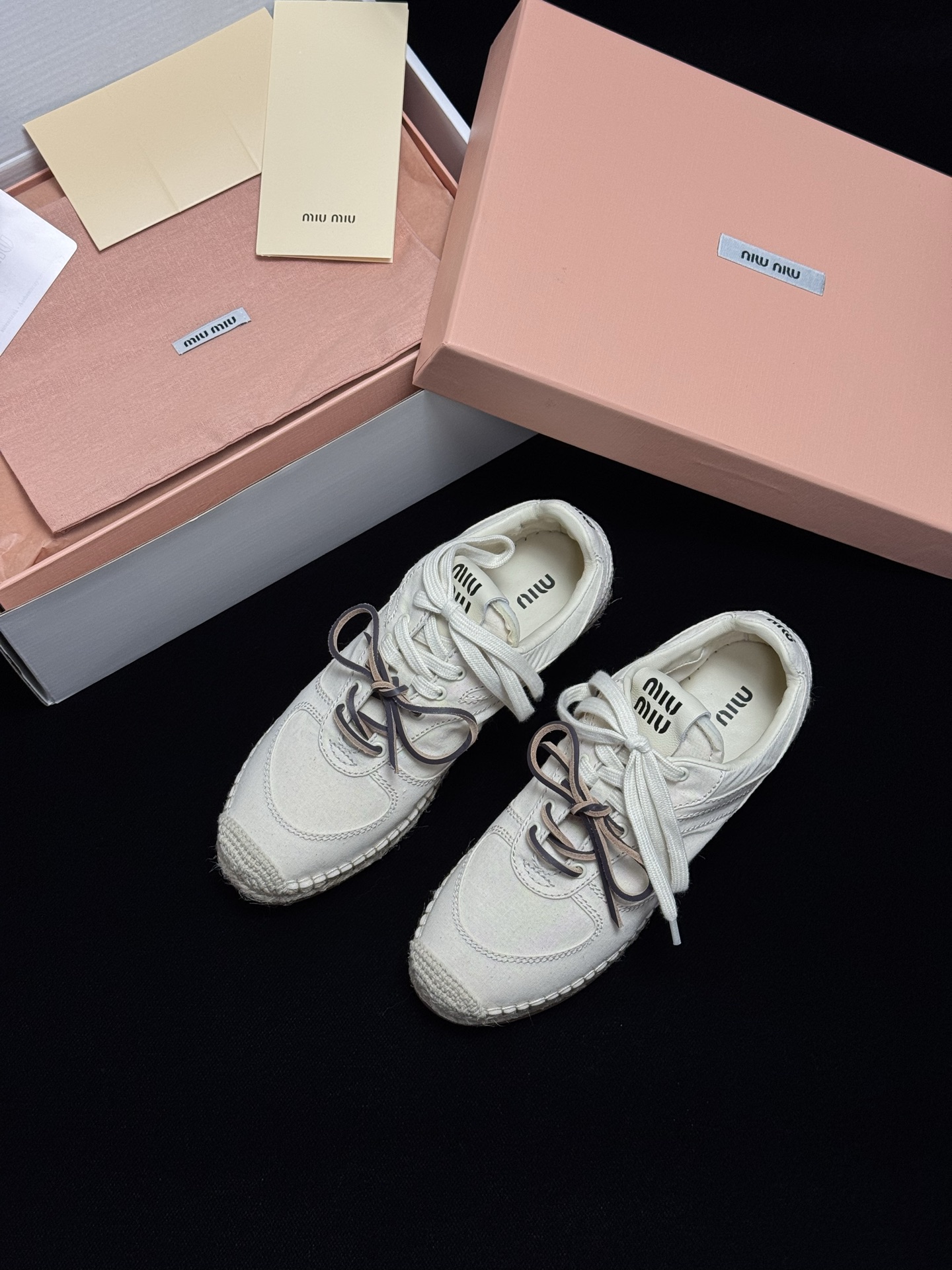 Miumiu Shoes