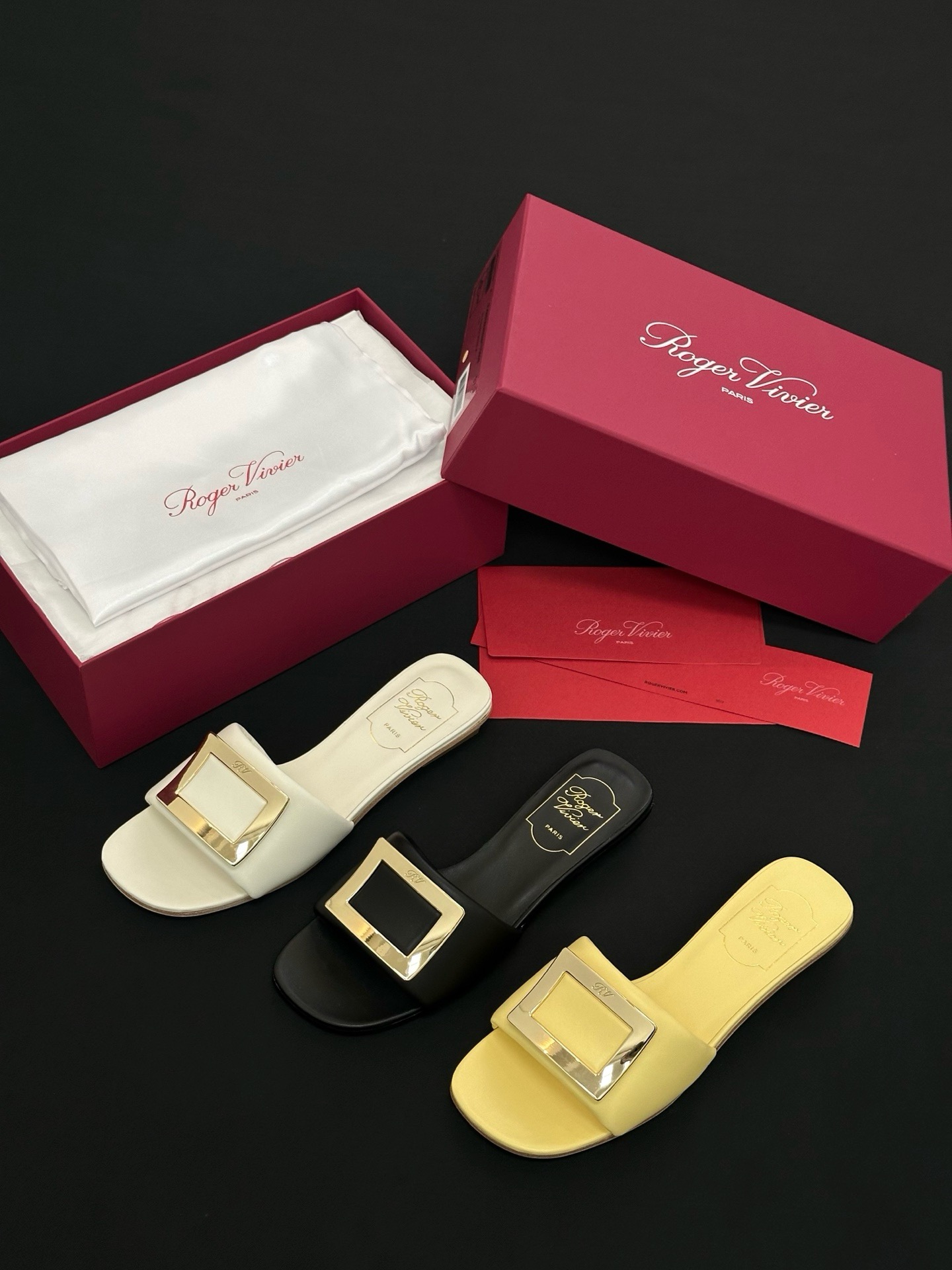 Roger Vivier Shoes