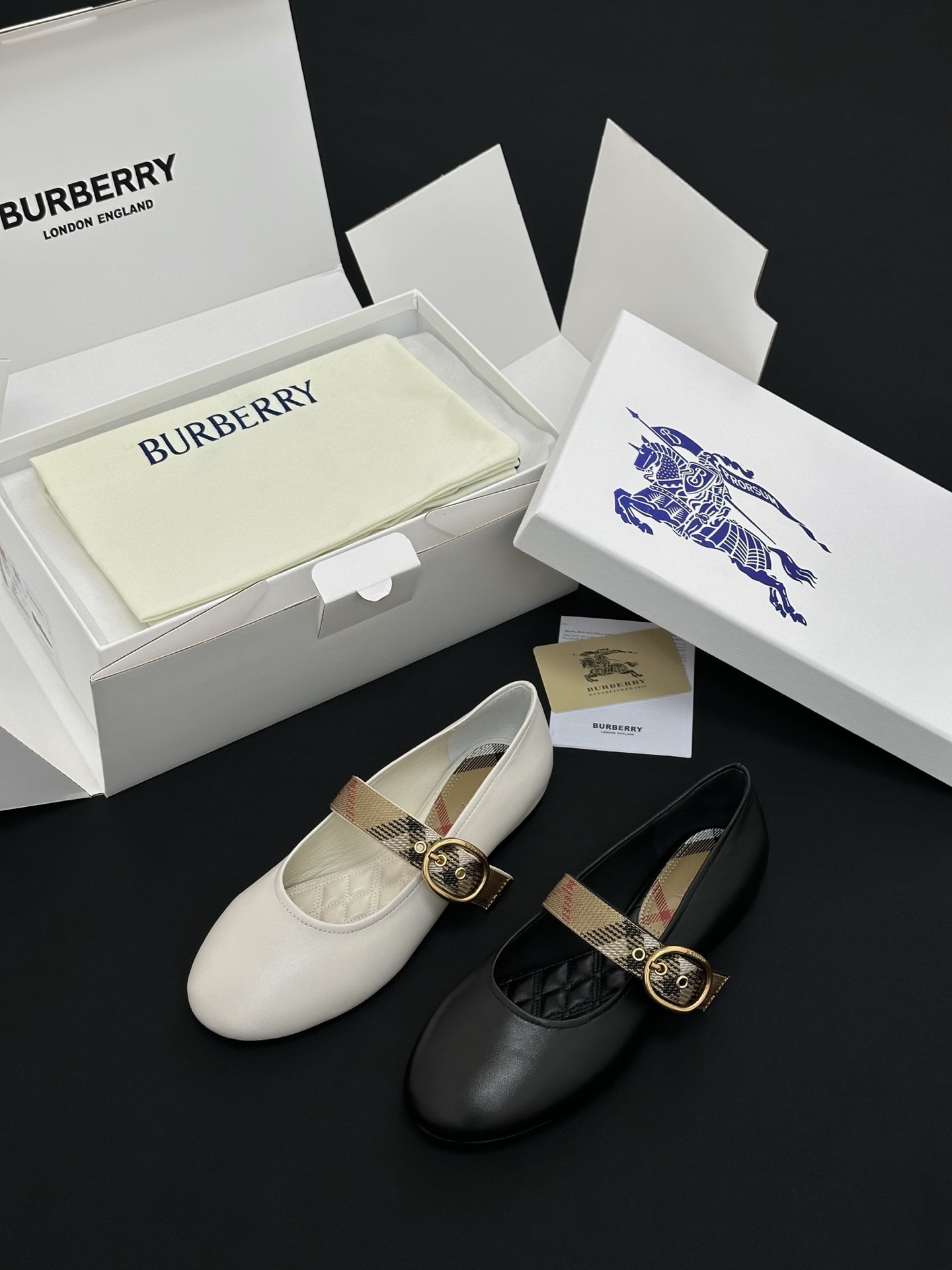 Burberry Shoes